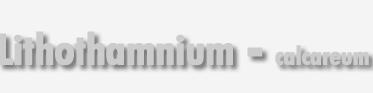 Lithothamnium